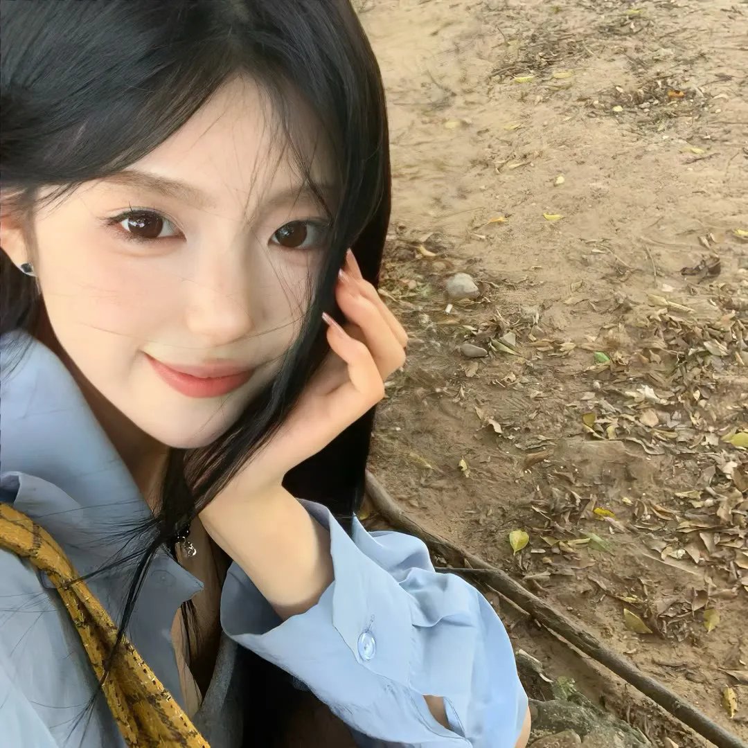 反诈风暴之情爱迷局